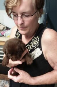 Nerrida with chocolate labrador puppy